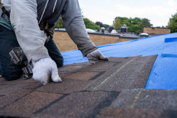 Best Chimney Flashing Repair  in Warm Springs, OR